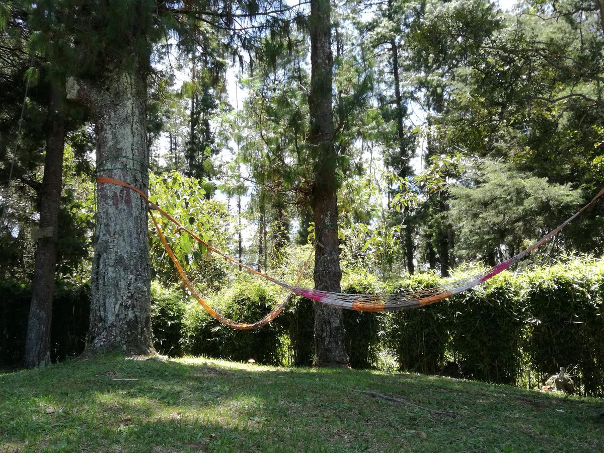 Al Bosque Hostel & Glamping Santa Elena  Bagian luar foto