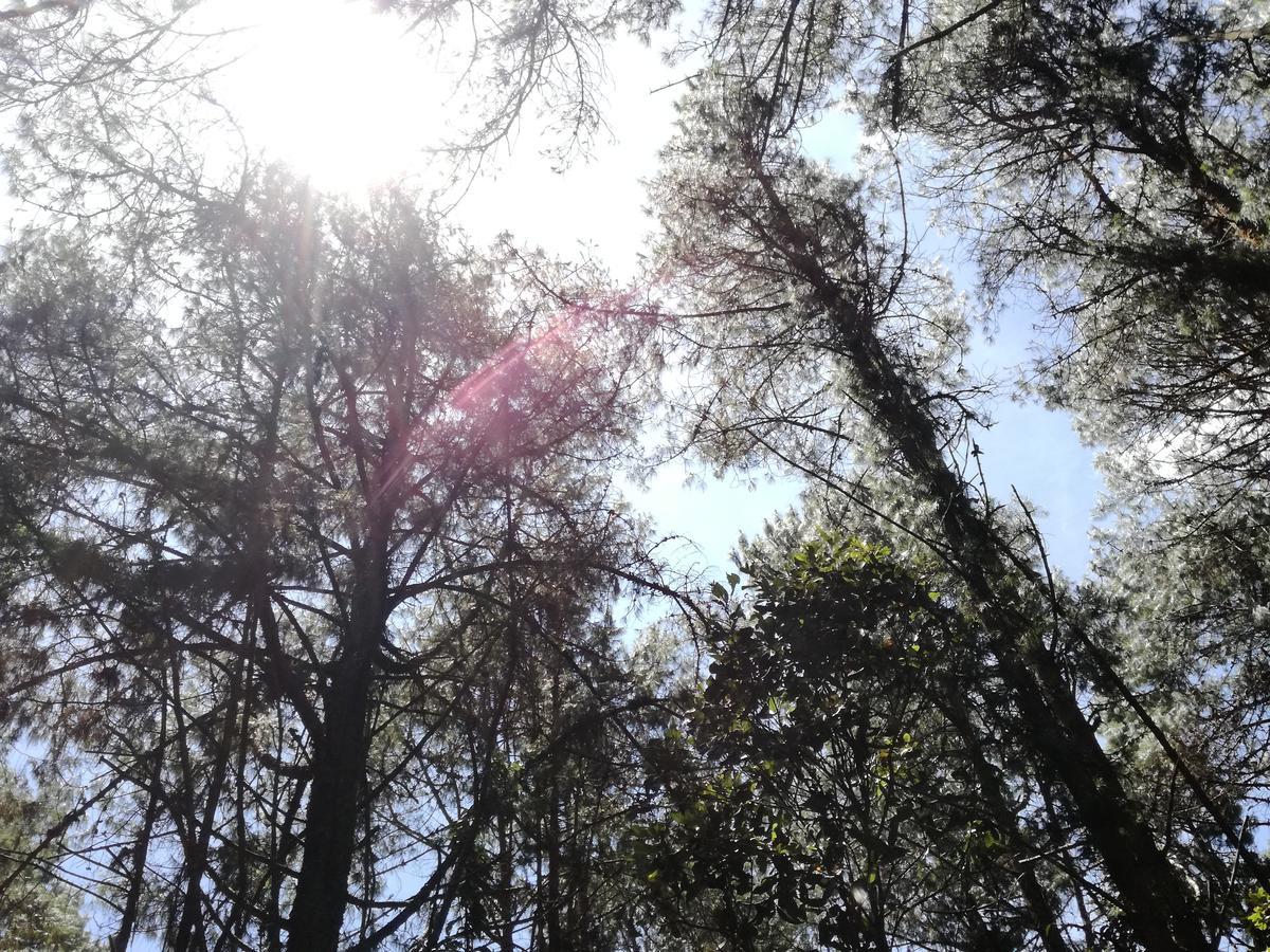 Al Bosque Hostel & Glamping Santa Elena  Bagian luar foto