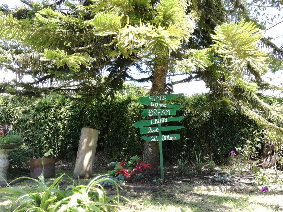 Al Bosque Hostel & Glamping Santa Elena  Bagian luar foto