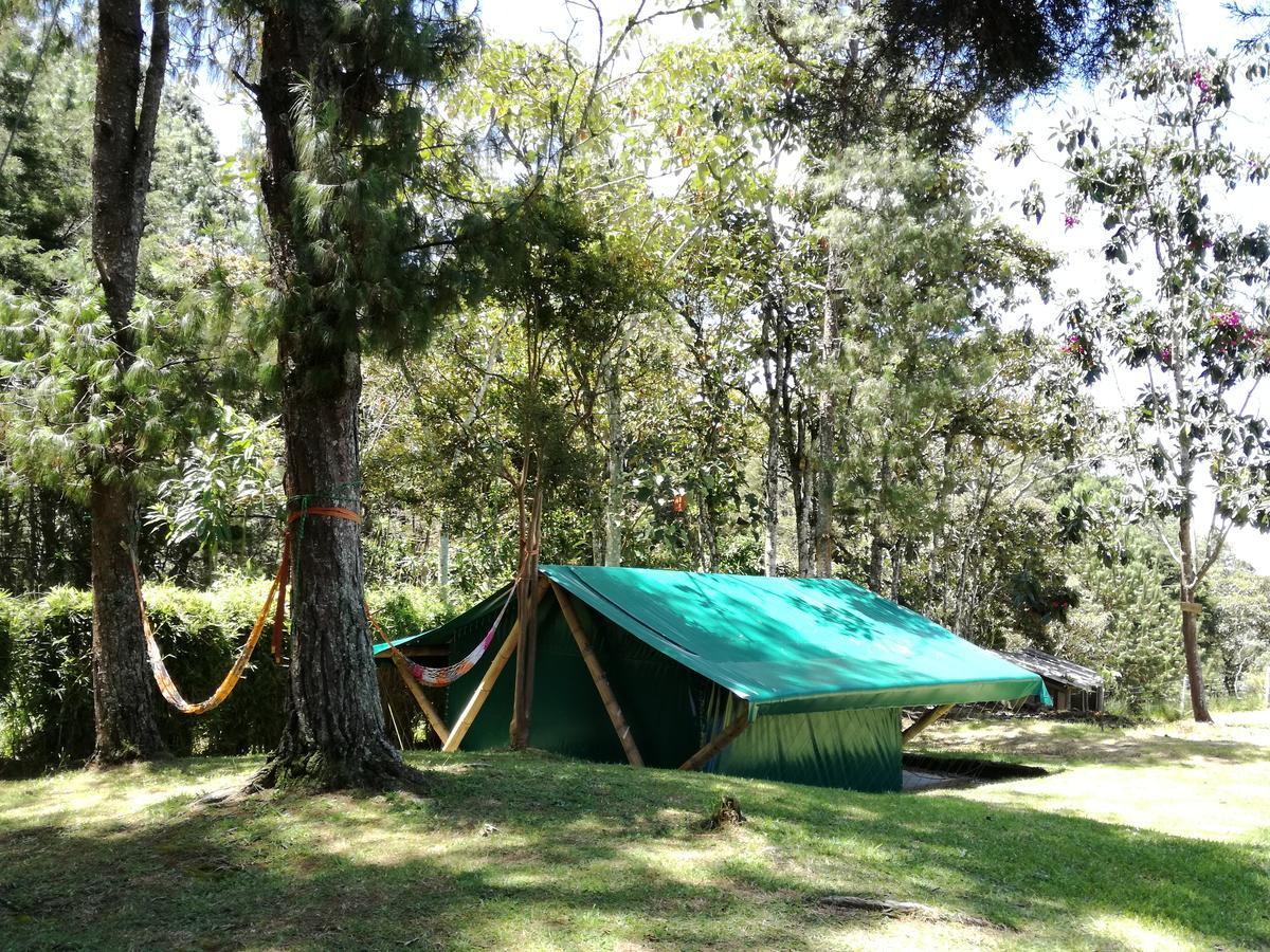 Al Bosque Hostel & Glamping Santa Elena  Bagian luar foto