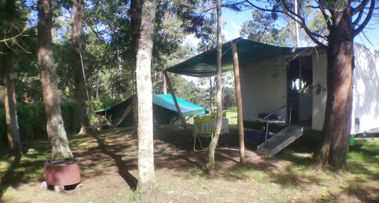 Al Bosque Hostel & Glamping Santa Elena  Bagian luar foto